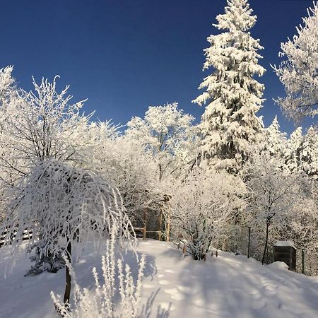 Bukowy Zdroj Villa Krynica Zdroj Dış mekan fotoğraf