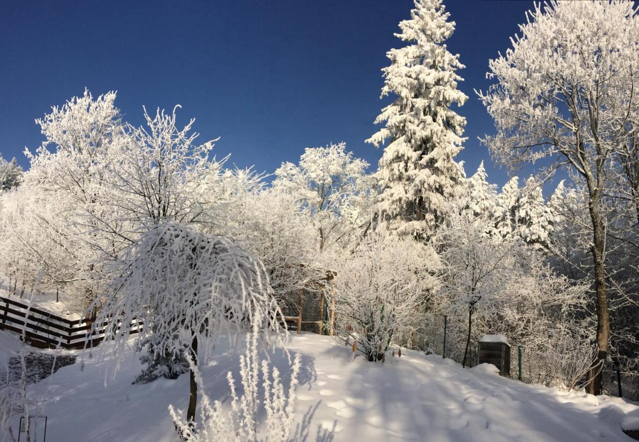 Bukowy Zdroj Villa Krynica Zdroj Dış mekan fotoğraf
