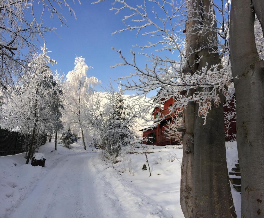 Bukowy Zdroj Villa Krynica Zdroj Dış mekan fotoğraf