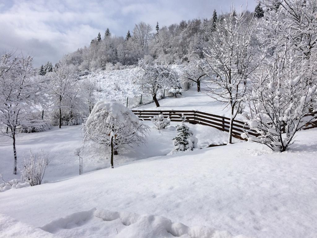 Bukowy Zdroj Villa Krynica Zdroj Dış mekan fotoğraf